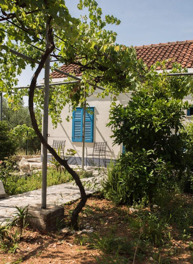 Studio apartman ROZA Ston Bagian luar foto