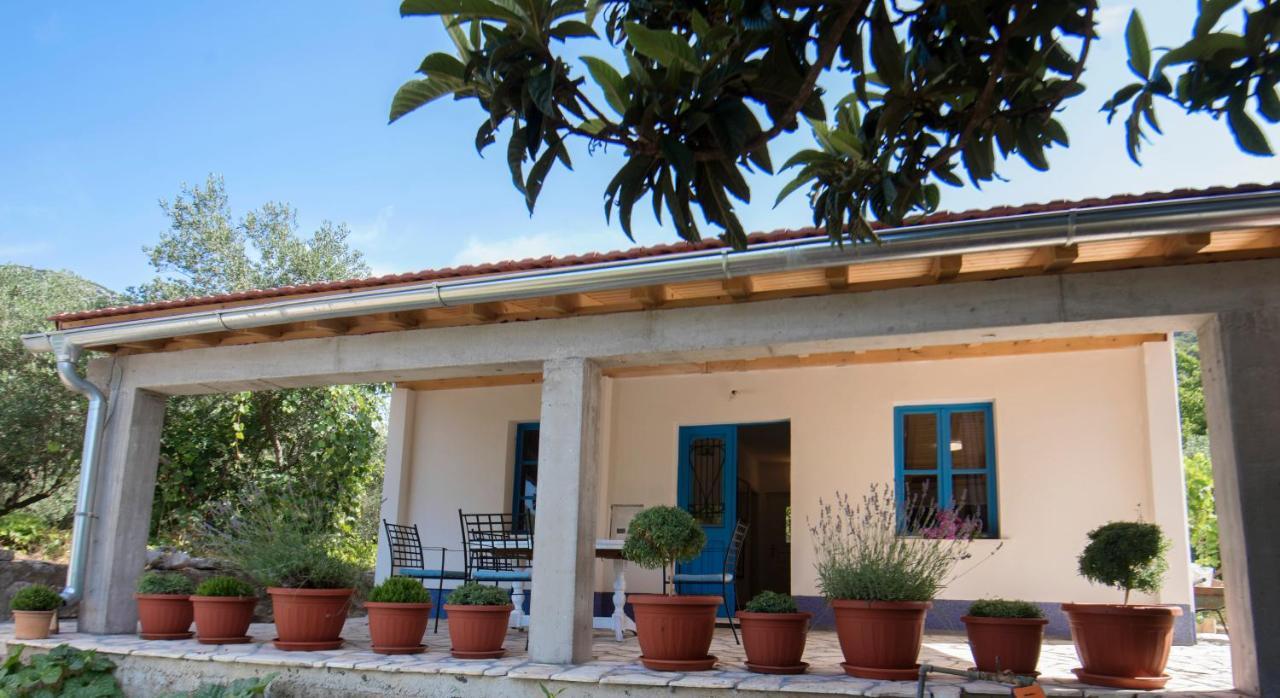 Studio apartman ROZA Ston Bagian luar foto