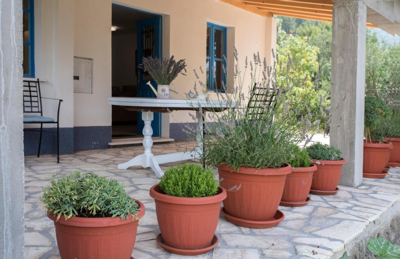 Studio apartman ROZA Ston Bagian luar foto